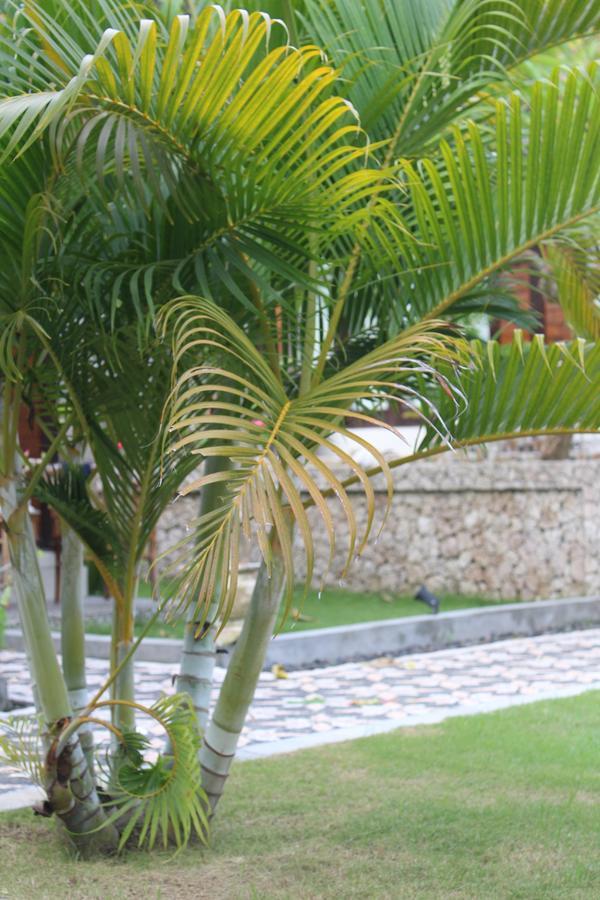 Gepah Garden Cottage Nusa Penida Exterior photo
